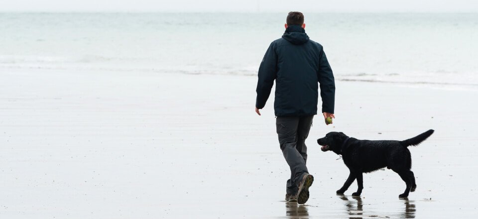 Når ryggens støddæmpere bliver slidte, Axeltorv Fysioterapi