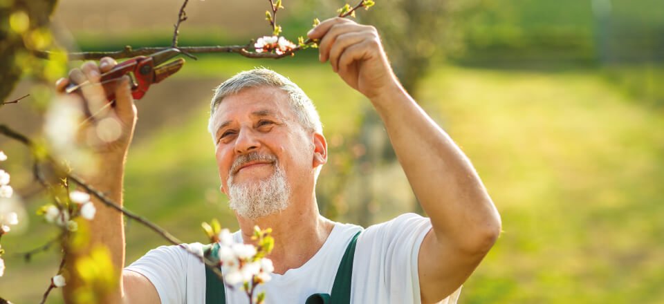 Havearbejde, undgå skader, Axeltorv Fysioterapi