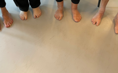 Foden er kroppens fundament